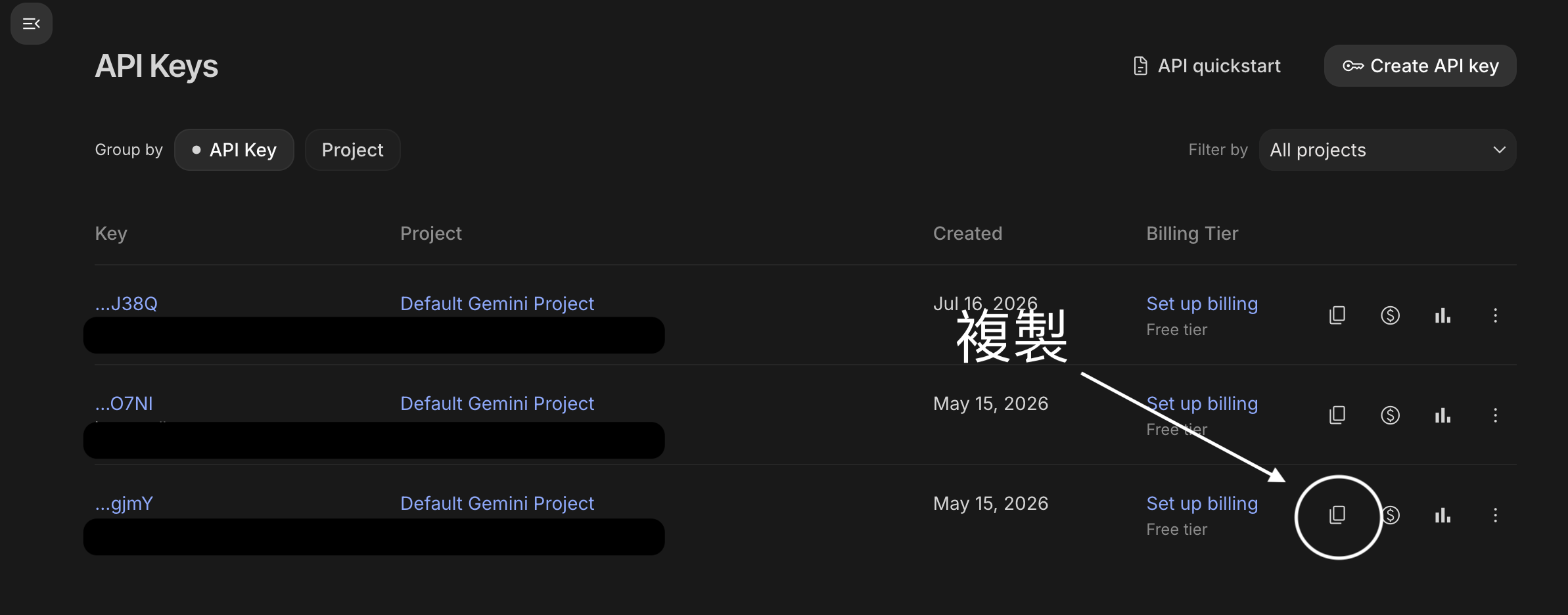 API Keys 清單,每把 key 右邊有複製圖示可再複製一次